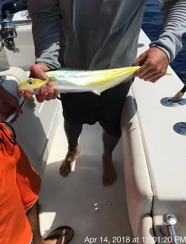 Florida workers compensation fishing charter surveillance evidence photograph 2